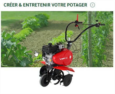 Créer & entretenir votre potager